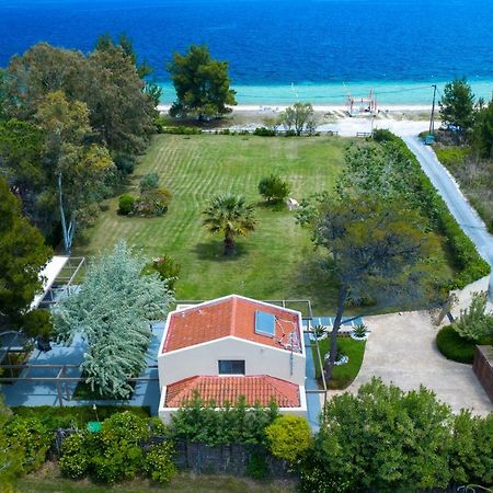 Tiamo Secrets - Palm Garden Villa Vourvourou Dış mekan fotoğraf