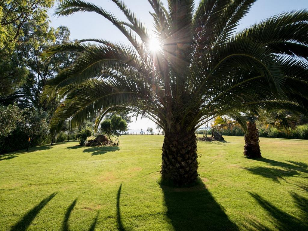 Tiamo Secrets - Palm Garden Villa Vourvourou Dış mekan fotoğraf