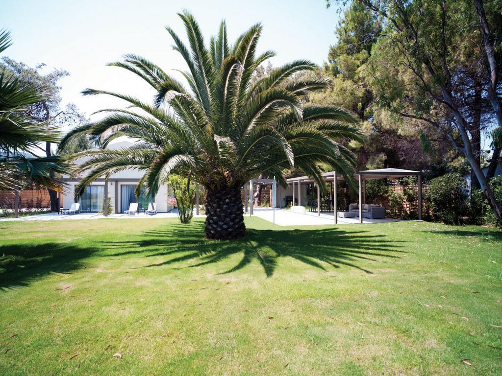 Tiamo Secrets - Palm Garden Villa Vourvourou Dış mekan fotoğraf