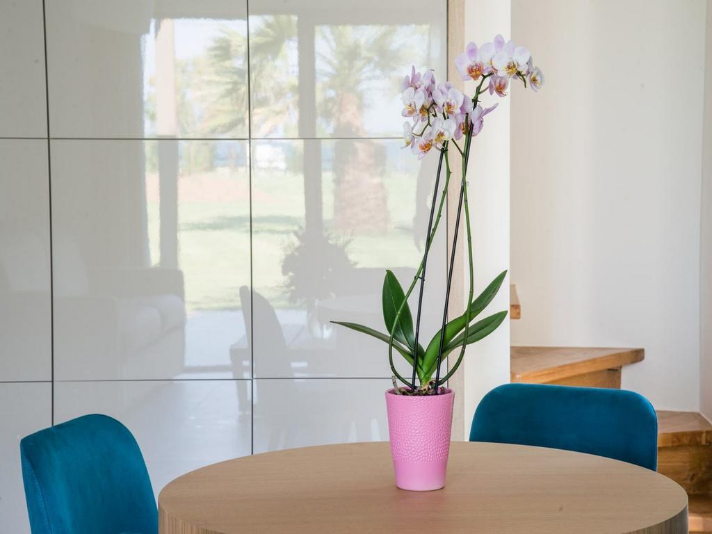 Tiamo Secrets - Palm Garden Villa Vourvourou Dış mekan fotoğraf