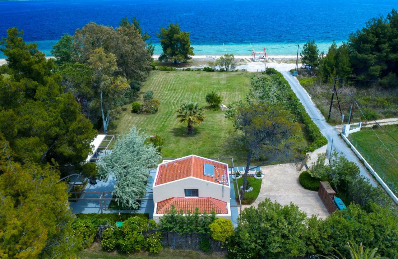 Tiamo Secrets - Palm Garden Villa Vourvourou Dış mekan fotoğraf
